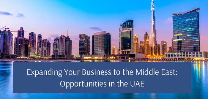 Middle East business diversification opportunities